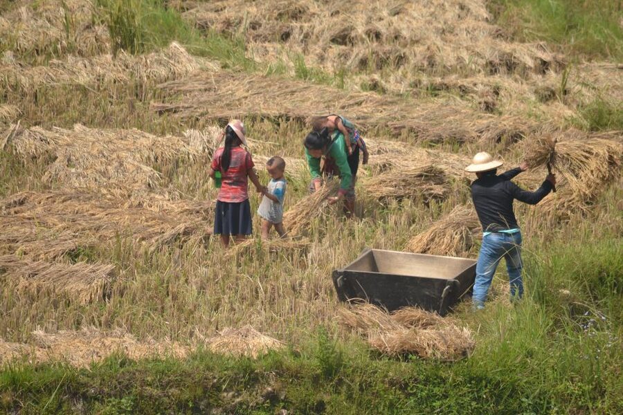2 Day-2 Night Sapa Trekking: Overnight Train &Limousine Bus - What is included, and what costs extra