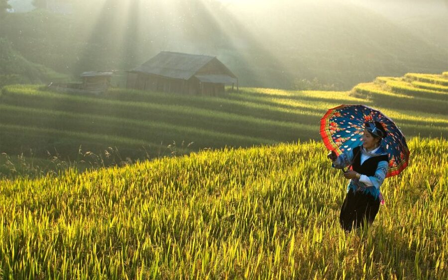 2 Day-2 Night Sapa Trekking: Overnight Train &Limousine Bus - Why this Sapa trip works well from Hanoi