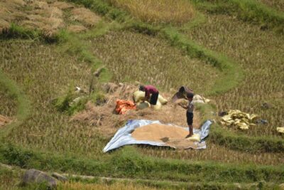 2 Day-2 Night Sapa Trekking: Overnight Train &Limousine Bus