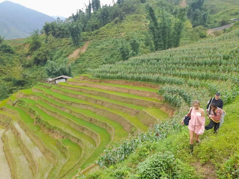 2-Day Sa Pa Ethnic Homestay Tour & Trek with Limousine Bus - Day two through bamboo and Giang Ta Chai