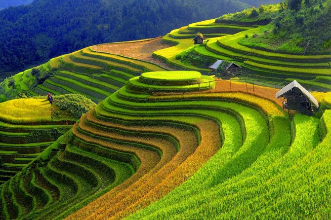 2 Days 1 night Sapa Tour from Hanoi by Limousine/Sleeper bus - The return to Hanoi at 8:30 p.m.