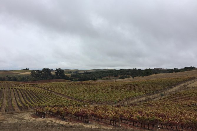 6-Hour Private Limousine Wine Country Tour of Napa or Sonoma - What the six hours usually look like