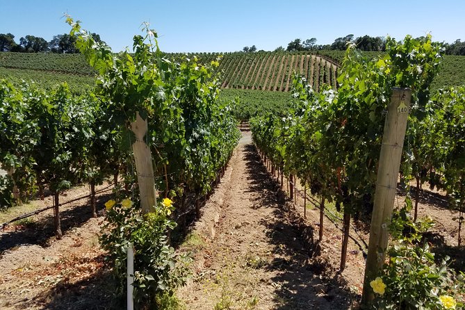 6 Hour Private Wine Country Tour (Sedan, SUV or Limo) - A private wine day without the driving
