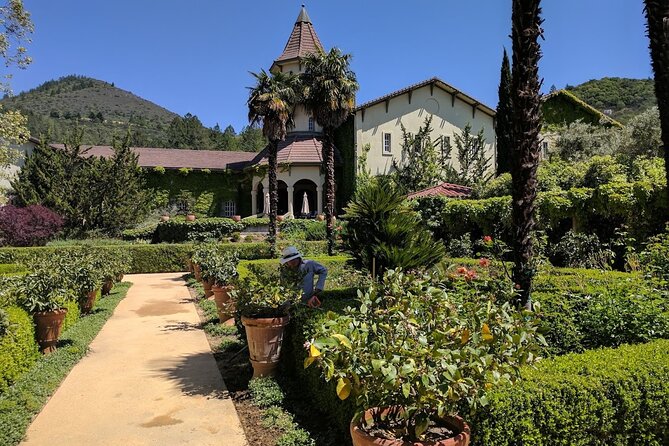 6 Hour Private Wine Country Tour (Sedan, SUV or Limo) - What the winery stops are really like