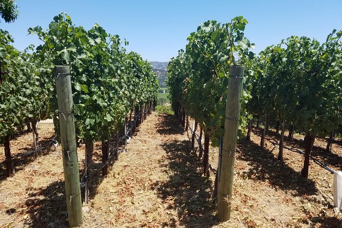 6 Hour Private Wine Country Tour (Sedan, SUV or Limo) - Building the six-hour itinerary