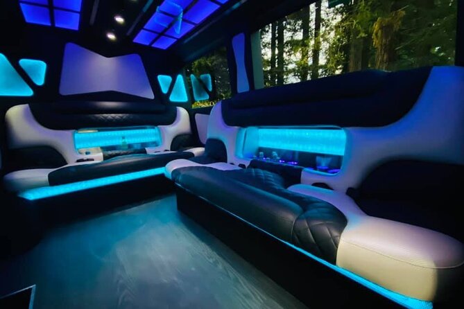6hr | 7 Passenger Mercedes Sprinter Limo Van Private Tour - What six hours really allows