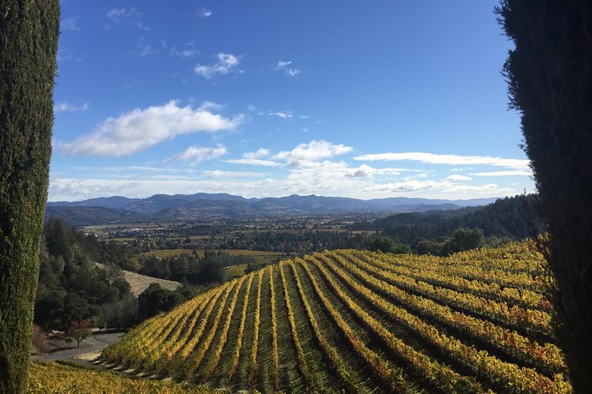 8-Hour, Private Limo Wine Tour to Napa from San Francisco - Leaving San Francisco with a flexible pickup