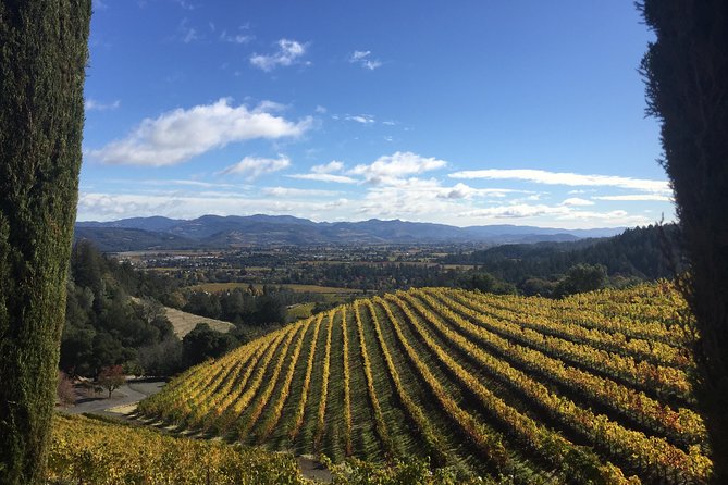 8-Hours Private Limo(up to 8 pass.) Wine Tour of Napa Valley from San Francisco - Wine tasting fees can change the final price