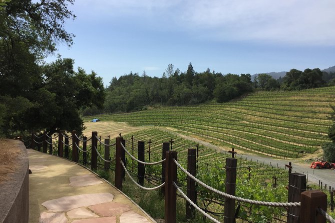 8-Hours Private Limo(up to 8 pass.) Wine Tour of Napa Valley from San Francisco - Who gets the best value