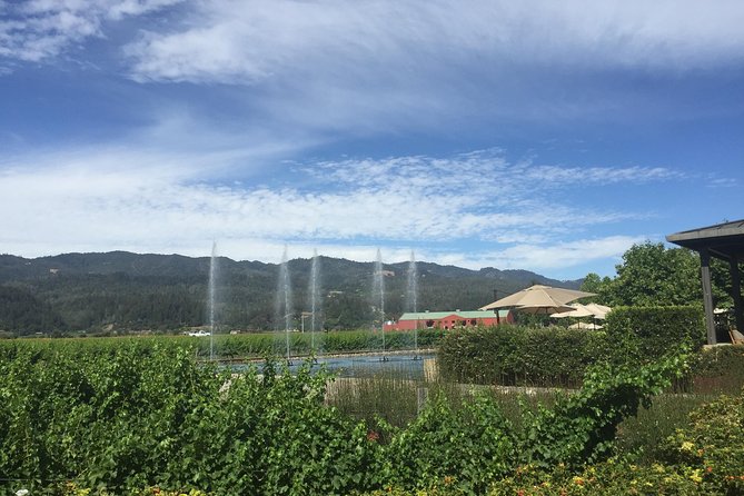 8-Hours Private Limo(up to 8 pass.) Wine Tour of Napa Valley from San Francisco - Practical planning advice