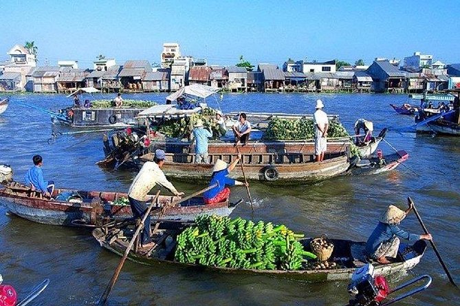 BIG BOSS private LIMOUSINE DAY TRIP TO MEKONG DElTA - Why this Mekong Delta day trip works
