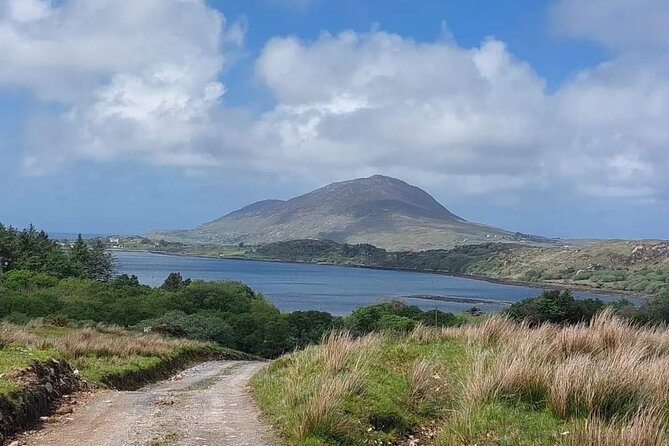 Connemara Sheep Farm experience & Kylemore Abbey by Lux Limousine - Why this private Galway day works so well