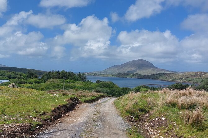 Connemara Sheep Farm experience & Kylemore Abbey by Lux Limousine - Carraroe, Spiddal, and the Wild Atlantic Way
