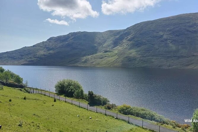 Connemara Sheep Farm experience & Kylemore Abbey by Lux Limousine - Derek Spillane’s guiding style