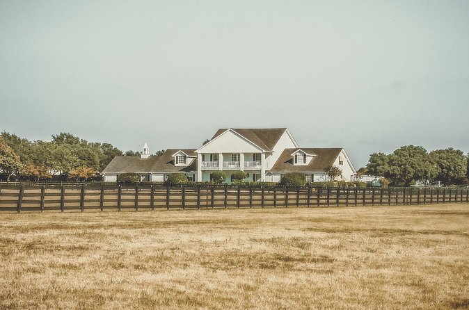 Dallas Southfork Ranch Private Limousine Tour - Is the limousine service worth the money?