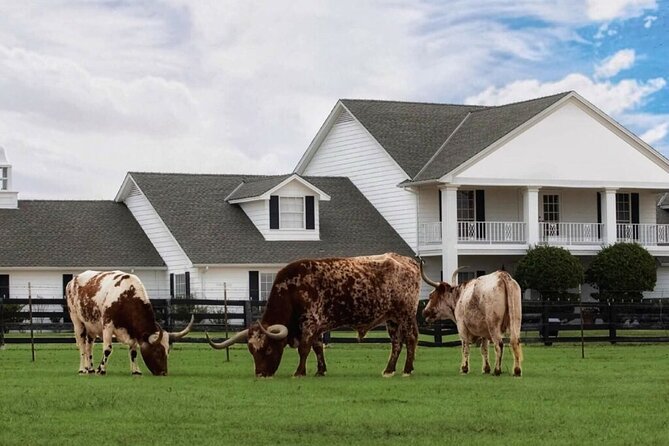 Dallas Southfork Ranch Private Limousine Tour - Practical rules that shape the day