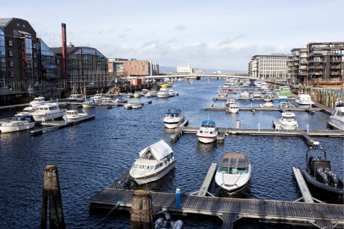 Exclusive Guided & Customized Private Oslo City Tour in Limo - The Opera House and Oslo waterfront