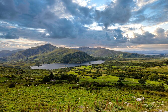 Exclusive Private Ring of Beara Tour from Killarney - Glengarriff Woods and a short river walk