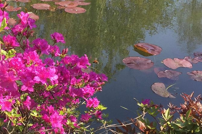 Excursion CHATEAU DE VERSAILLES and GIVERNY in Limousine from Paris - Is $1,757.83 Good Value?