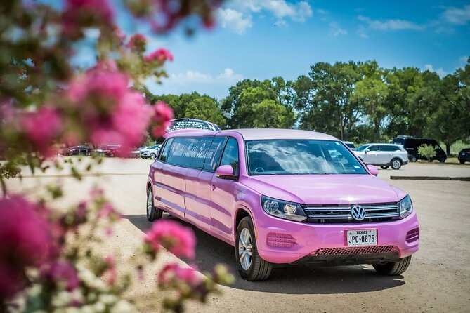 Fredericksburg Private Wine Tour Volkswagen Limo - Is $99 per person a fair deal?