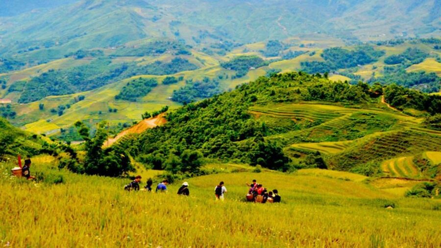 From Hanoi: 2-Day Overnight Sapa Tour by Limousine - Who should choose this tour