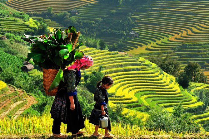 From Hanoi: 2-Day Overnight Sapa Tour by Luxury Van Limousine - Cat Cat Village, waterfalls, and a touristy first walk