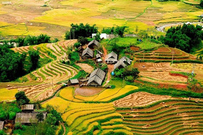 From Hanoi: 2-Day Overnight Sapa Tour by Luxury Van Limousine - Y Linh Ho, Lao Chai, and Ta Van: the finest walk
