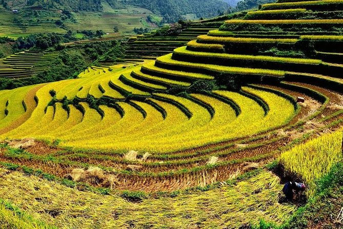 From Hanoi: 2-Day Overnight Sapa Tour by Luxury Van Limousine - Giang Ta Chai and the homestay version