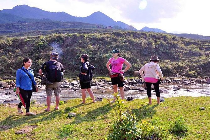 From Hanoi: 2-Day Overnight Sapa Tour by Luxury Van Limousine - Food, hotels, and what $117 really buys