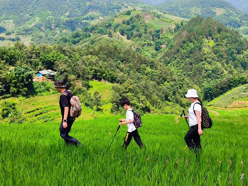 From Hanoi: 2-Day Sapa Trek Tour - Luxury Limousine Transfer - Day two: Lao Chai and Ta Van on foot