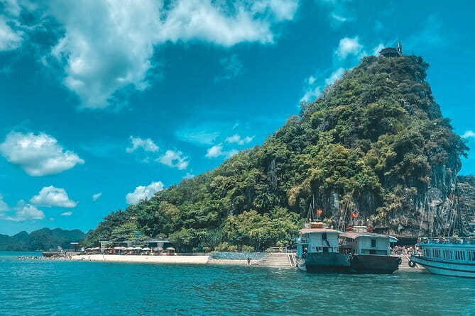 From Hanoi: Best Halong 5-Star Day Cruise, Buffet Lunch,Limousine - Luon Cave by kayak, bamboo boat, or Jacuzzi