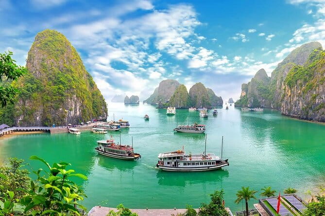 From Hanoi- Halong Bay 1 Day Save Cost With Limousine Bus Option - The cruise options and what to check