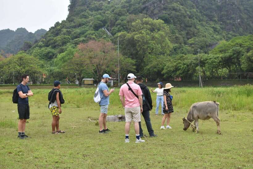 From Hanoi: Ninh Binh, Hoa Lu, Tam Coc, & Mua Cave Day-Trip - A short bike ride through rural Ninh Binh