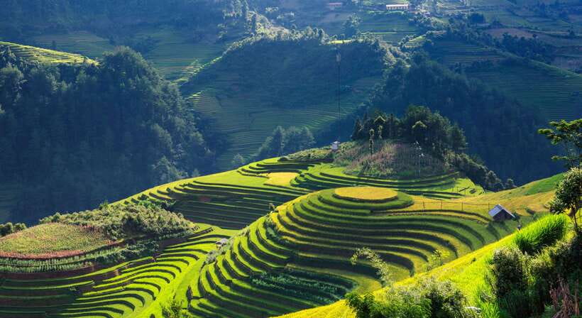 From Hanoi: Premium 3-Day Sapa Adventure with DCAR Limousine - Day 1: Hanoi, Sapa, and the Black Mong village walk