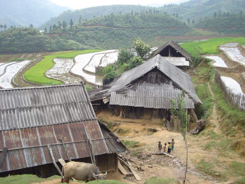 From Hanoi: Sapa 3-Day Medium Trek and Limousine Trip - Food, accommodation, and what the price includes