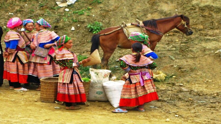 From Hanoi: Sapa 3-Day Medium Trek and Limousine Trip - Who should book this three-day trek?