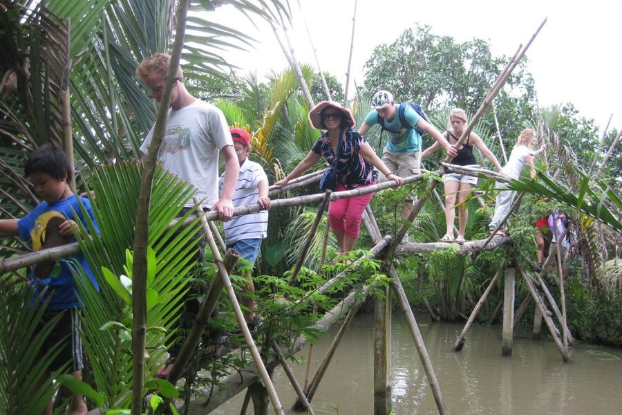 From Ho Chi Minh City: Mekong Delta VIP Tour by Limousine - My Tho And The Mekong River Cruise
