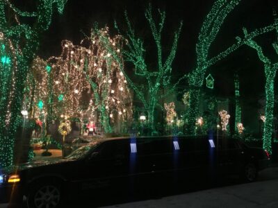 Private Brooklyn Christmas Tour by Limousine