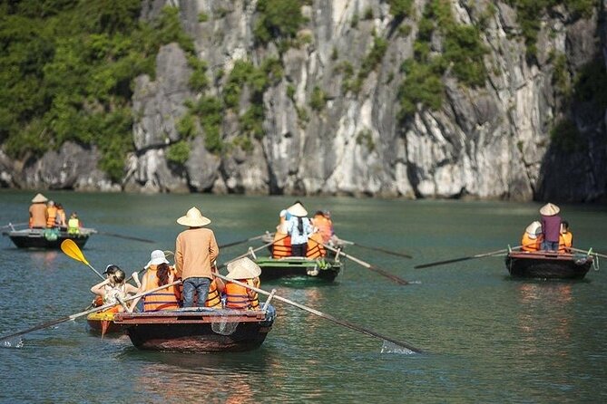 Full Day Halong Bay Luxury Limousine Bus & Buffet Lunch - What the included meals and refreshments add
