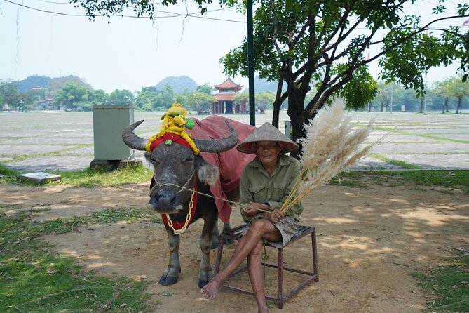 Full Day Hoa Lu/Tam Coc/ Mua Cave Tour by Limousine Bus - Hoa Lu and the temples of the Dinh and Le Dynasties