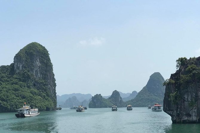 HaLong Bay 1Day 6hrs cruising - Alova Premium Cruise - Limousine - The people who will enjoy this day most