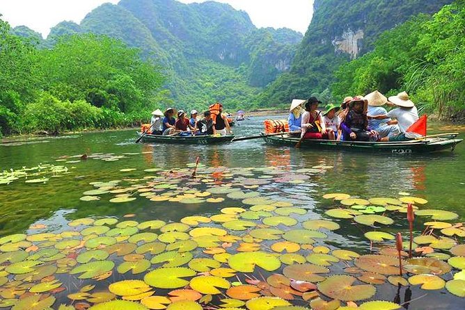 Hanoi - Hoa Lu - Tam Coc - Mua Cave - 1 Day / By Luxury Limousine & Small Group - Why this Ninh Binh day trip works from Hanoi