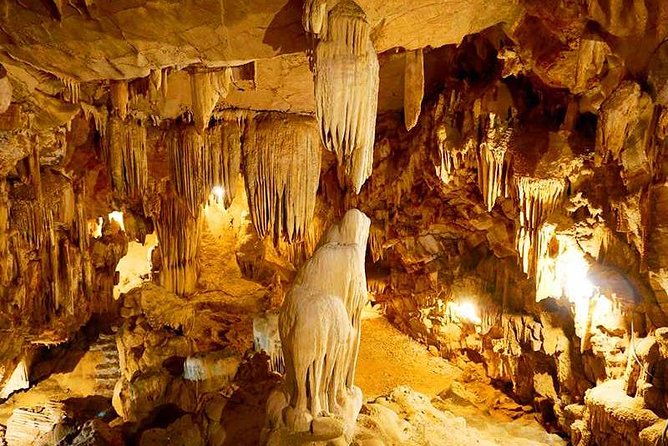 Hanoi - Hoa Lu - Tam Coc - Mua Cave - 1 Day / By Luxury Limousine & Small Group - The guides can shape the whole day