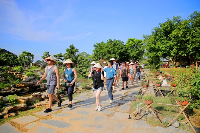 Luxury Hoa Lu Tam Coc Mua Cave 1 Day With Limousine Bus And Lunch - Mua Cave and the 500-Step Viewpoint