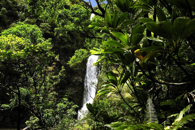 Maui: Road to Hana Luxury Limo-Van Tour with Helicopter Flight - What the $599 price really buys