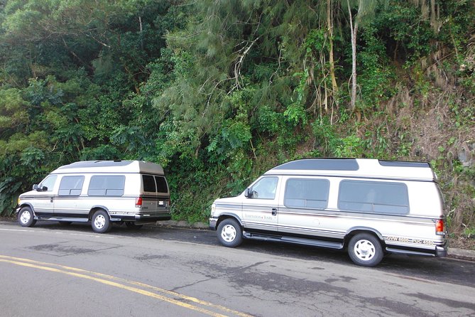 Maui: Road to Hana Luxury Limo-Van Tour with Helicopter Flight - Lunch by the beach, with a little polish
