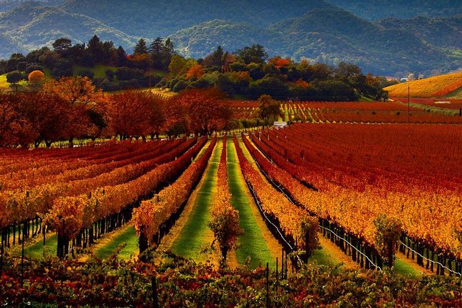 Napa - Sonoma Limo up to 9 passengers - Four to twelve hours gives you room to choose