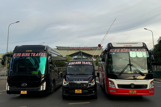 Ninh Binh to Cat Ba Luxury Transportation with D-Class Limousine - Key points to know before booking