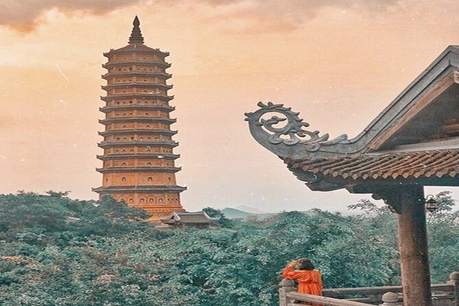 Ninh Binh Tour Bai Dinh Trang An Mua Cave Small Group Limousine - Buffet lunch before the river