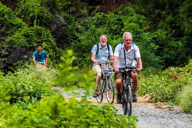 Ninh Binh Tour Hoa Lu Tam Coc Full Day: Biking,Boating,Tickets,Lunch, Limousine - What the $41 price really covers
